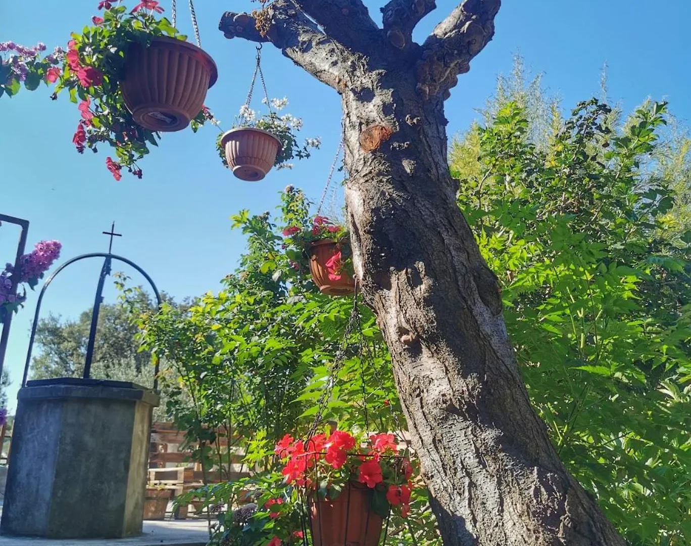Rezidencija Galileja Villa Mundanije 0*,  Croatia